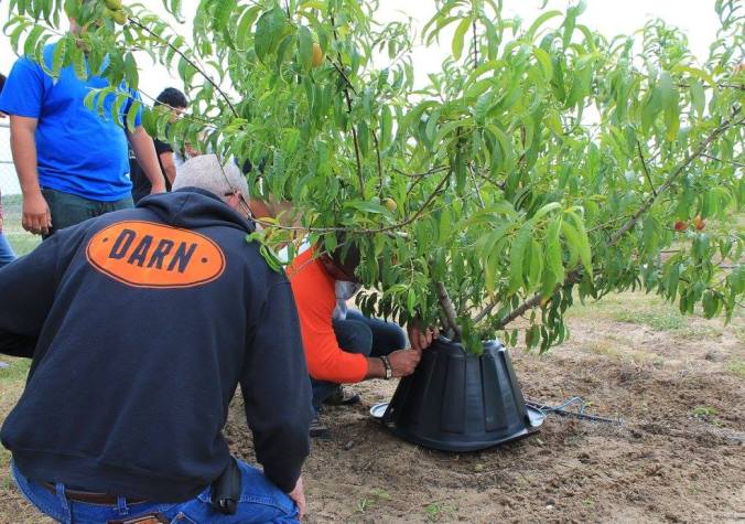 13041413_977971815614465_1256974938652072529_o